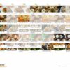 21 Day Real Food Real Quick Meal Plan (21 days)