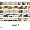 21 Day Real Food Real Quick Meal Plan (21 days)