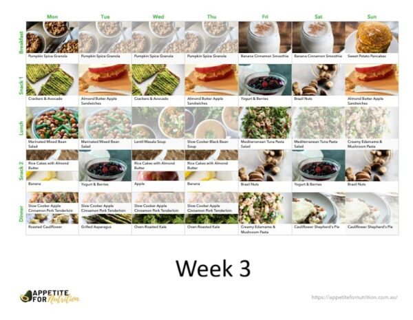 21 Day Real Food Real Quick Meal Plan (21 days)