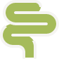 Gut Health