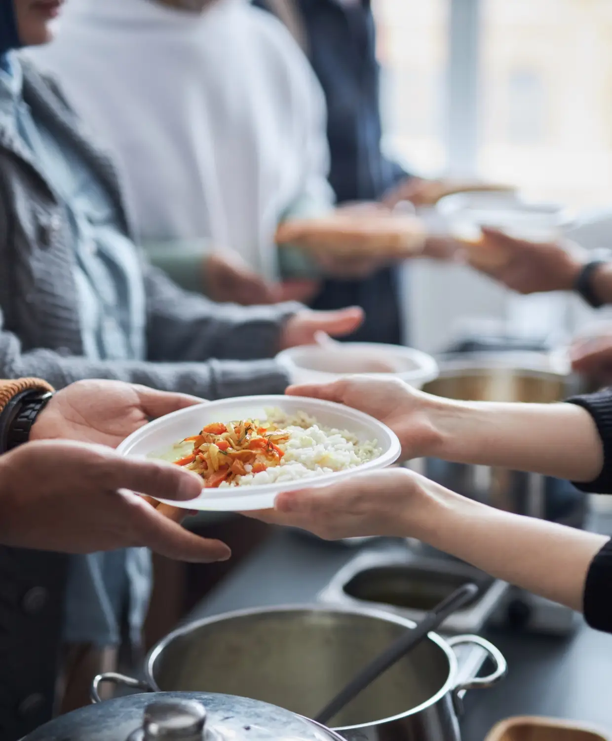 Justice - Menu Creation & Review