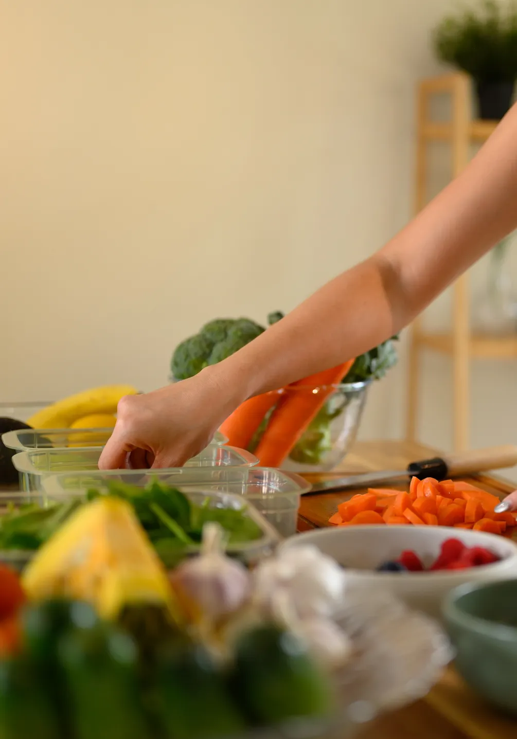 In-Home Dietitian Consults
